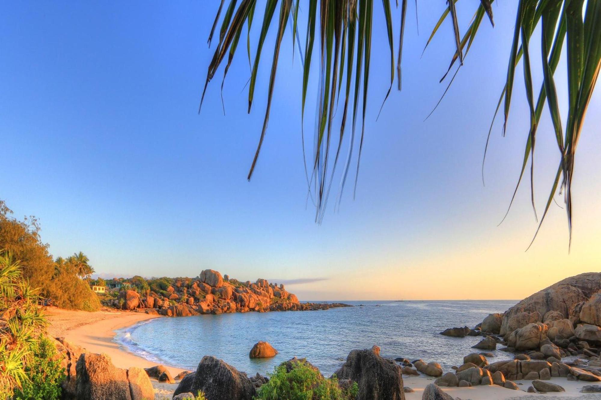 Coral Cove Apartments - Absolute Beachfront Resort Bowen Eksteriør bilde
