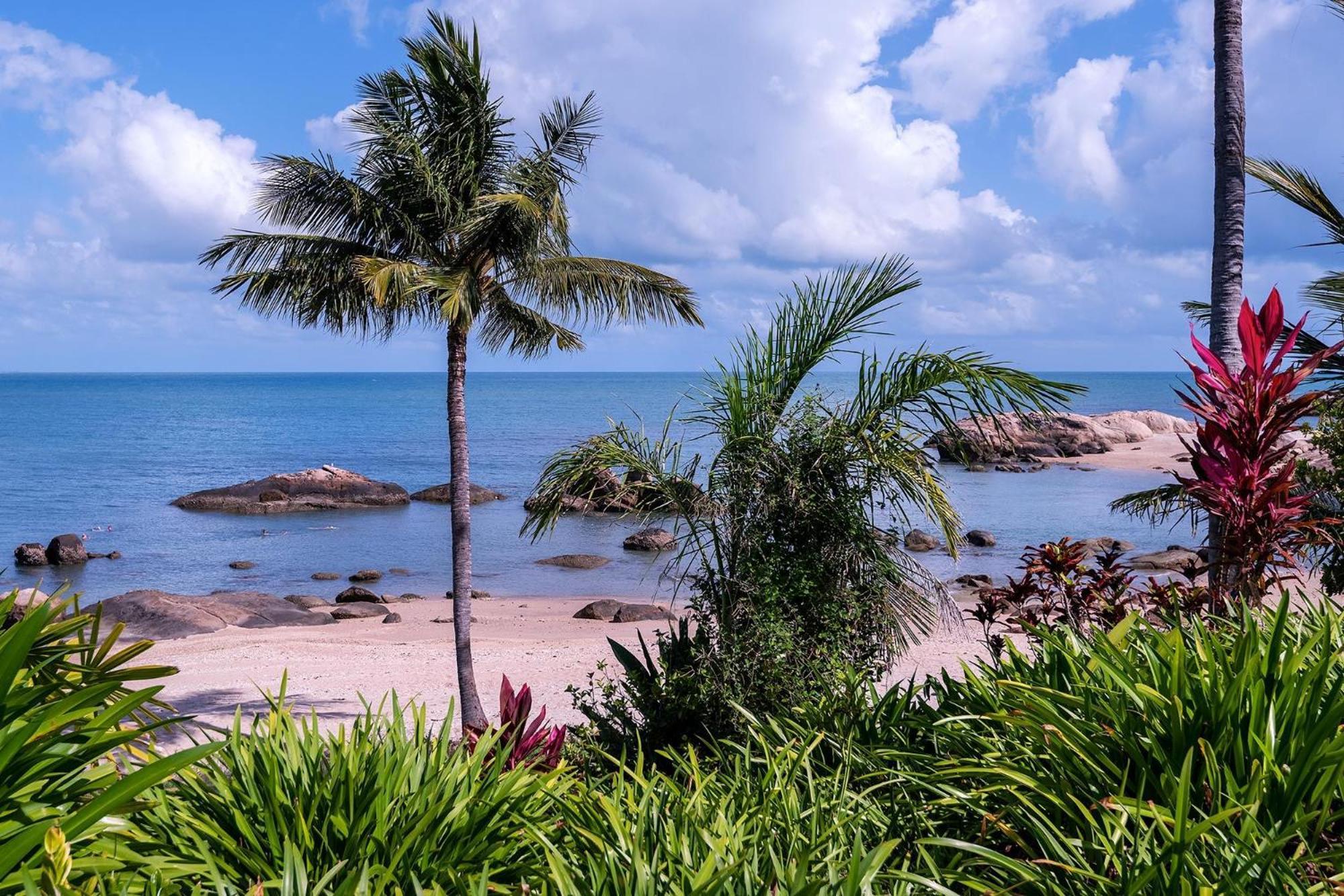 Coral Cove Apartments - Absolute Beachfront Resort Bowen Eksteriør bilde